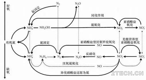 区别：厌氧氨氧化与短程硝化反硝化 - 环保之家 