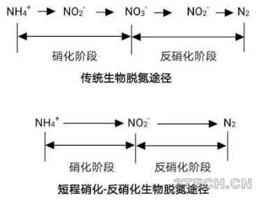 区别：厌氧氨氧化与短程硝化反硝化 - 环保之家 