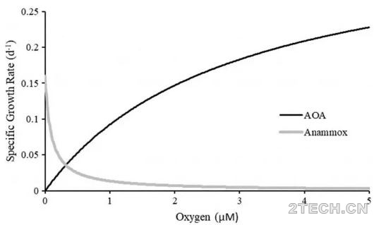 前沿：亲和性决定了氨氧化古菌和厌氧氨氧化菌间环境合作 - 环保之家 