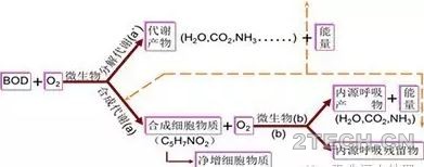 污泥老化的原因分析 - 环保之家 