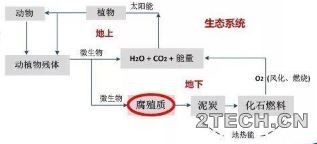 污泥稳定化产物生态价值及环境风险 - 环保之家 