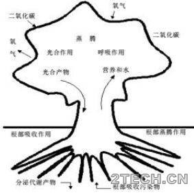 探讨：污染土壤土壤淋洗修复技术 - 环保之家 