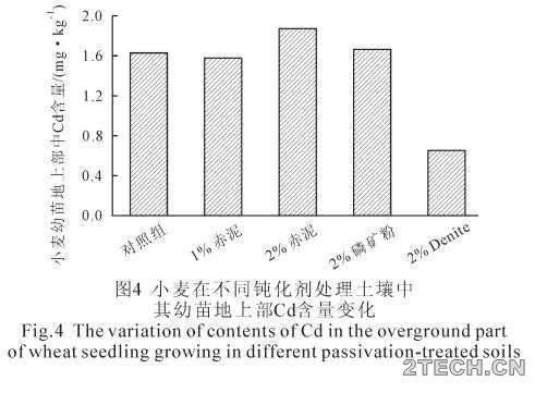 环保之家5.JPG