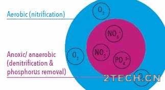 解读：好氧颗粒污泥技术 - 环保之家 