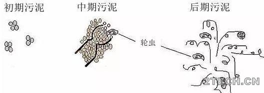 环保之家.JPG