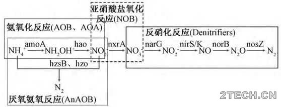 进展：部分亚硝化－厌氧氨氧化工艺处理低氨氮废水研究 - 环保之家 