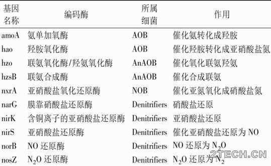 进展：部分亚硝化－厌氧氨氧化工艺处理低氨氮废水研究 - 环保之家 