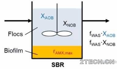 研究：生物膜/絮体混合系统改善主流厌氧氨氧化工艺 - 环保之家 