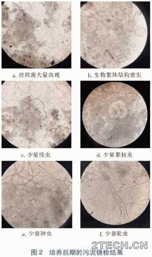 案例：反硝化滤池在上海某城镇污水厂提标改造工程应用 - 环保之家 