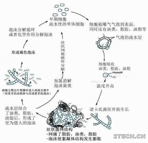 环保之家5.JPG