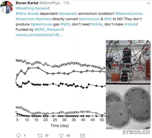 进展：特定环境下仅靠一氧化氮实现厌氧氨氧化菌生长 - 环保之家 