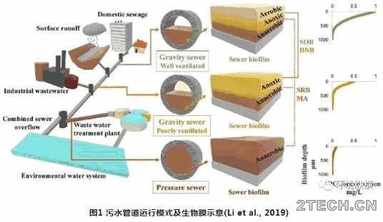 环保之家.JPG