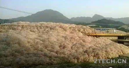 现场实例：谈谈污水厂泡沫 第一时间判断系统问题 - 环保之家 