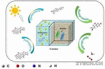 解析：光催化与生物降解直接耦合技术 - 环保之家 