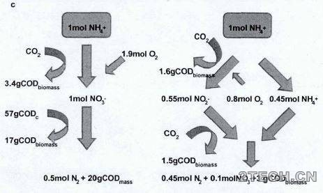 精解：厌氧氨氧化工艺原理、控制及抑制 - 环保之家 