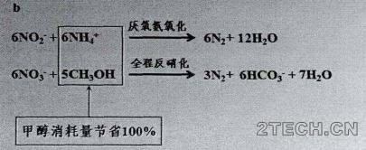 精解：厌氧氨氧化工艺原理、控制及抑制 - 环保之家 