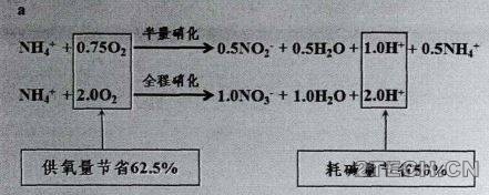 精解：厌氧氨氧化工艺原理、控制及抑制 - 环保之家 