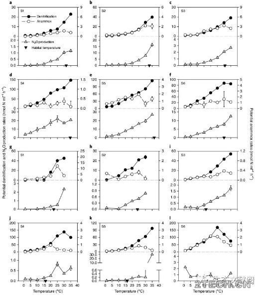 研究：气温升高促进沉积物反硝化，以厌氧氨氧化为代价 - 环保之家 