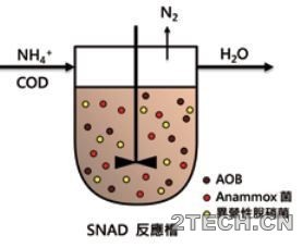 环保之家4.JPG