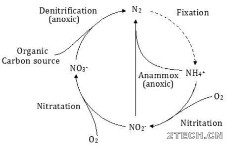 探讨：厌氧氨氧化脱氮方式 - 环保之家 