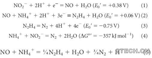 解析：厌氧氨氧化分子机制 - 环保之家 