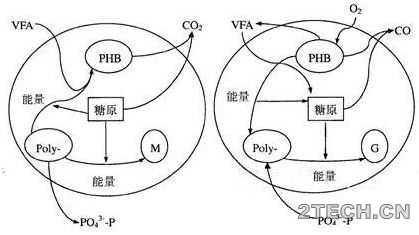 环保之家.JPG