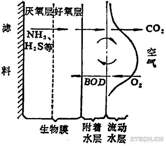 深度：生物膜法处理工艺与技术(1) - 环保之家 