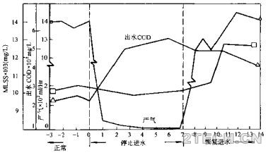 厌氧生物体对饥饿的反应 - 环保之家 