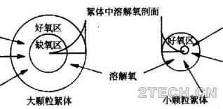 聊聊：同步硝化反硝化[SND]那些事 - 环保之家 