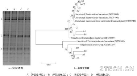 环保之家3.JPG